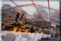 WED PICS2